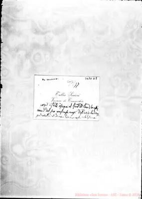 Fotogramma D 7