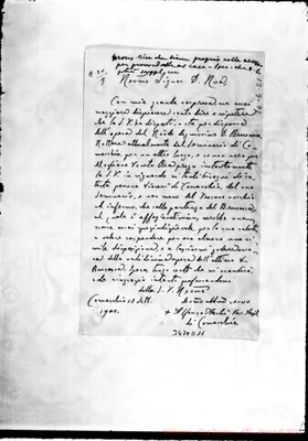 Fotogramma D 11