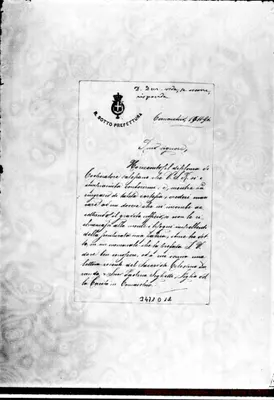 Fotogramma D 12