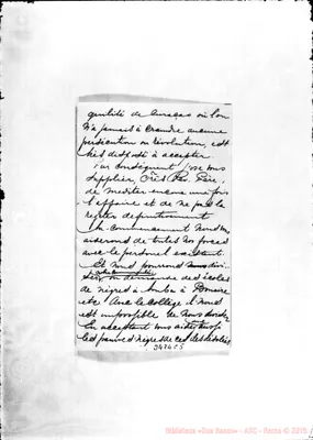 Fotogramma C 5