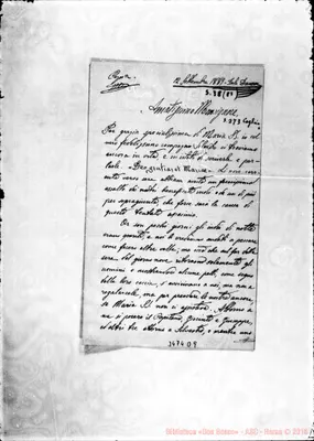 Fotogramma D 9