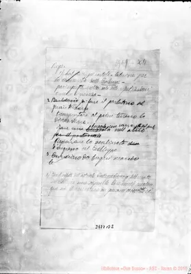 Fotogramma B 2