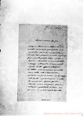 Fotogramma D 11