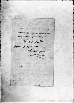 Fotogramma D 7