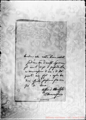 Fotogramma E 2