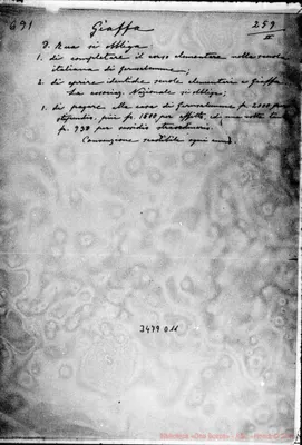 Fotogramma D 11
