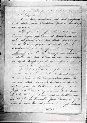 Fotogramma E 8