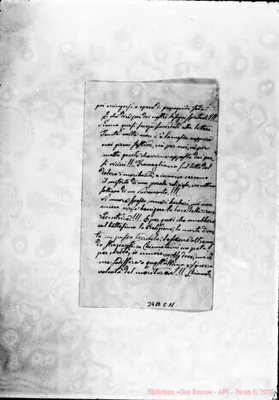 Fotogramma C 11