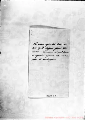 Fotogramma C 7