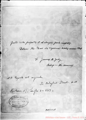 Fotogramma C 11