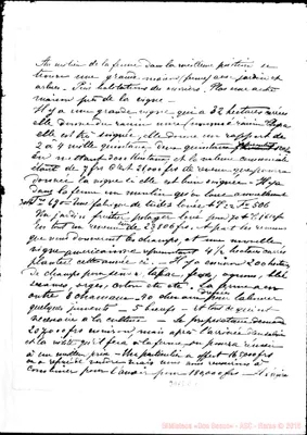 Fotogramma E 1