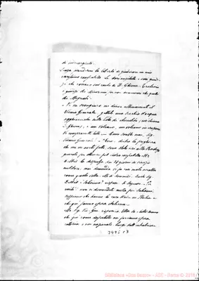 Fotogramma C 7