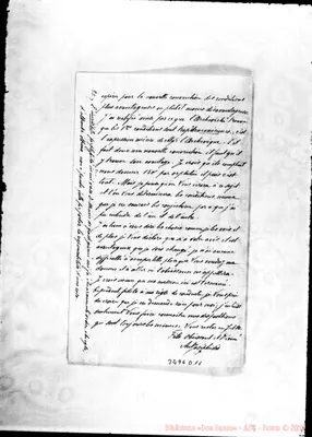 Fotogramma D 11