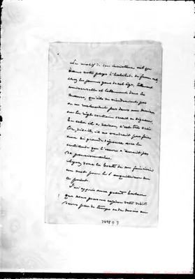 Fotogramma D 3