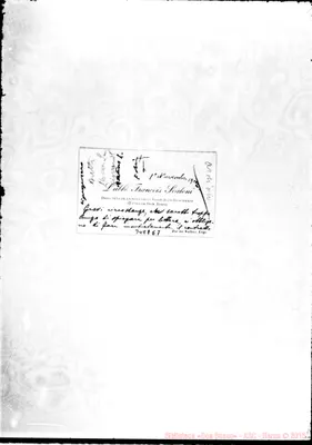 Fotogramma E 7