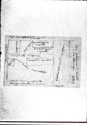 Fotogramma C 12
