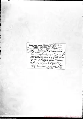 Fotogramma B 9