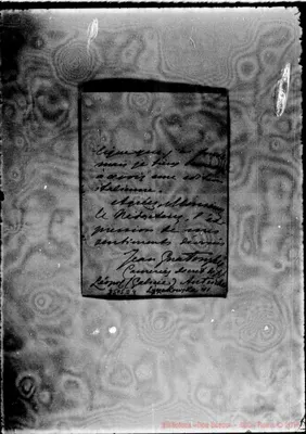 Fotogramma D 4