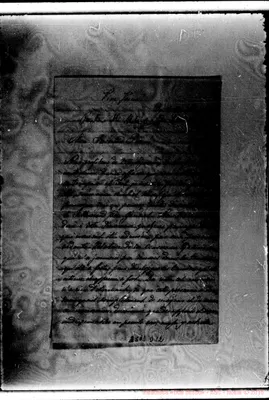 Fotogramma D 12