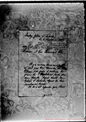 Fotogramma E 8