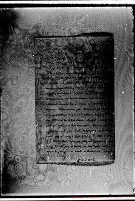 Fotogramma E 12