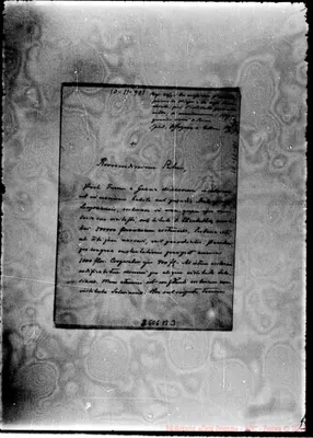 Fotogramma B 3