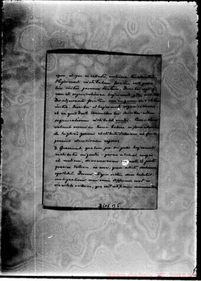 Fotogramma B 5