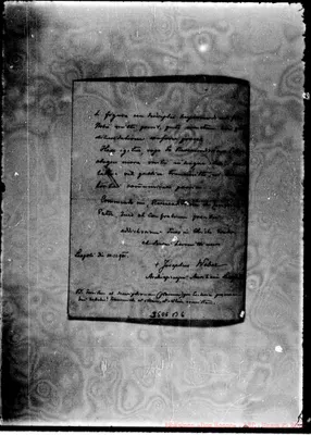 Fotogramma B 6