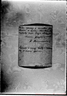 Fotogramma B 10