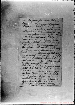 Fotogramma C 11