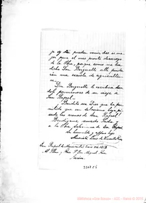 Fotogramma C 5