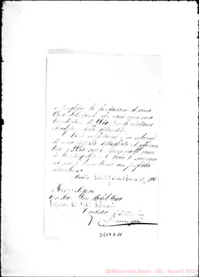 Fotogramma D 11