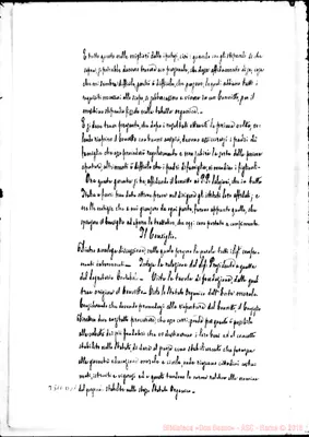 Fotogramma D 11