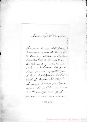Fotogramma C 11