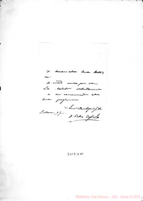 Fotogramma D 11