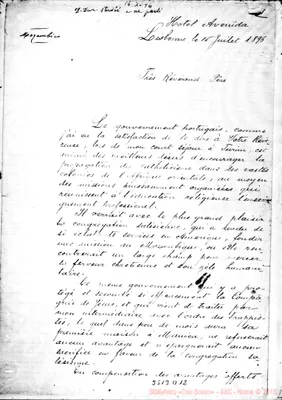 Fotogramma D 12