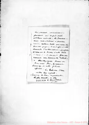 Fotogramma B 10