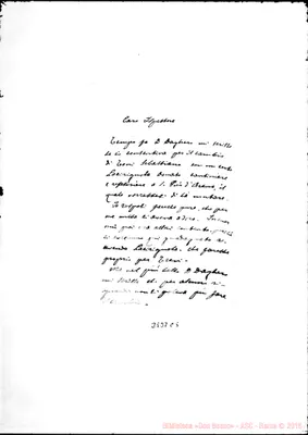 Fotogramma C 5