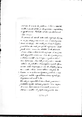 Fotogramma D 7