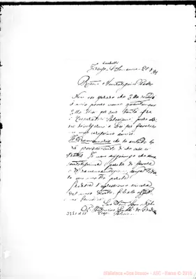 Fotogramma A 11