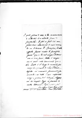 Fotogramma C 11
