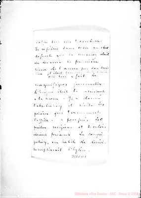 Fotogramma B 1