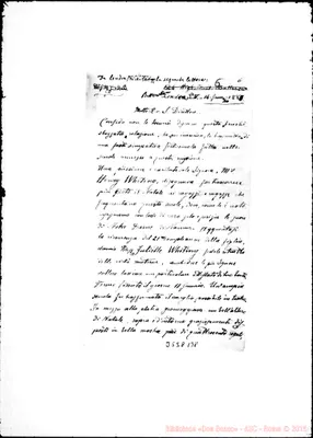 Fotogramma B 8