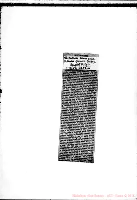 Fotogramma D 12