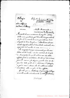 Fotogramma D 11