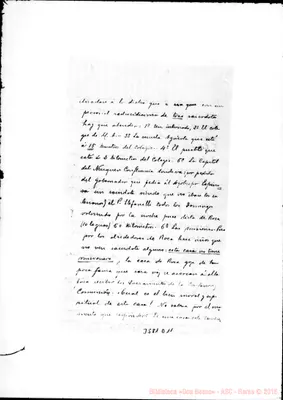 Fotogramma D 11
