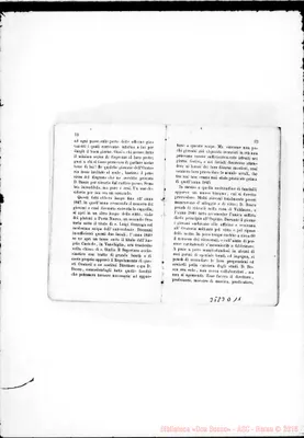 Fotogramma D 11