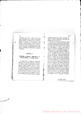 Fotogramma B 8