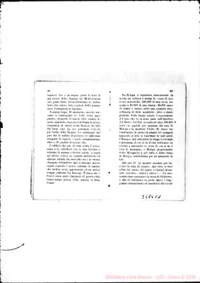 Fotogramma C 1