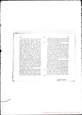 Fotogramma C 11
